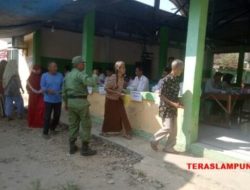 Daftar Pemenang Pilkades Serentak 2023 Empat Kecamatan di Lampung Selatan