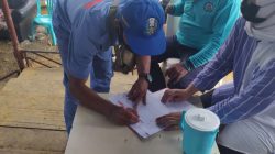 Tiba di Mamuju Tengah, Transmigran Jatim dan DIY Disambut Gubernur dan Bupati